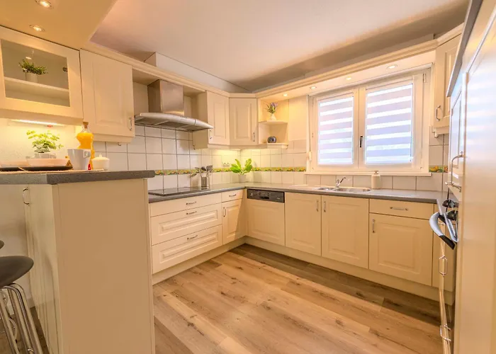 Le Terra Nova - Pause Citadine *