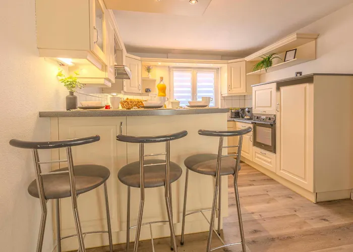 Le Terra Nova - Pause Citadine Hébergement de vacances Haguenau