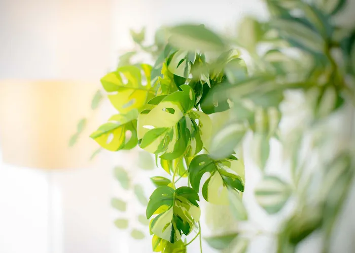 Le Terra Nova - Pause Citadine * Haguenau